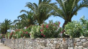 Cerigo House Kythira Greece