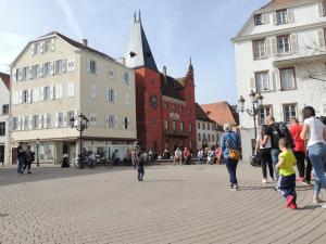 Appartements Nid perche en Triplex - Haguenau Centre - Wi-Fi : photos des chambres