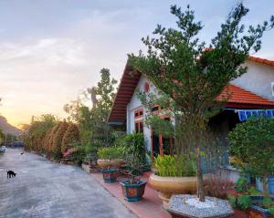 Phòng 2 giường có cảnh quan (Twin Room with View)