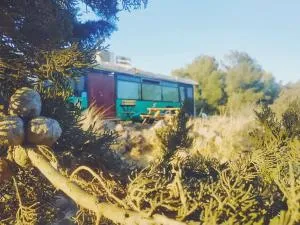 eco bus - Avnei Eitan