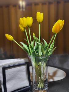 A70 Laguna Beskidów Wellness&Spa Żeglarski