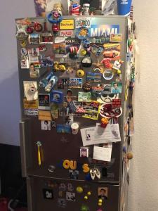 Casa DelSillie ... Magnet Pin Welcome