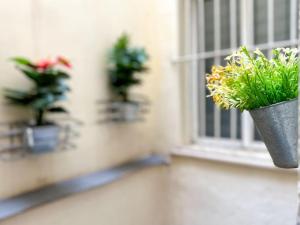 Urbano y acogedor estudio en sótano