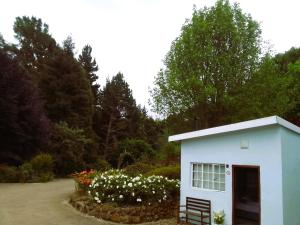 Hogsback Hidden Away