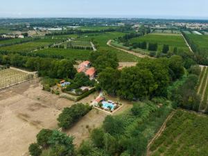 B&B / Chambres d'hotes Domaine Castell de Bles : photos des chambres