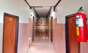 Full Moon Central Party Hotel