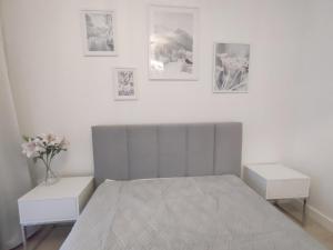 APARTAMENTY BIAŁA DOLINA