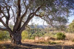 Monte Oliva - Turismo Rural - Juliãos