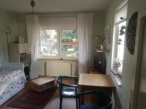 Gartenzimmer mit Straßenbahn zu Dom und Messe - Efferen