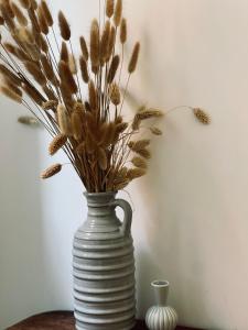 Appartements Le Chalet de la Plage : photos des chambres