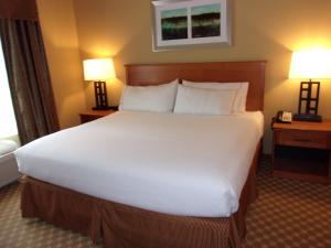 Holiday Inn Express Hotel & Suites Chicago West Roselle by IHG
