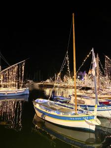 Appartements Casa Andrea Agreable T3 avec grand jardin a 3mn de la plage : photos des chambres