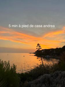 Appartements Casa Andrea Agreable T3 avec grand jardin a 3mn de la plage : photos des chambres