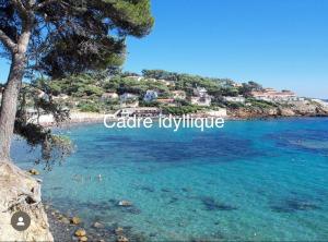 Appartements Casa Andrea Agreable T3 avec grand jardin a 3mn de la plage : photos des chambres