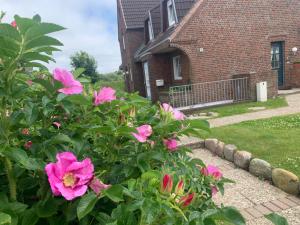 Sylter-Rose-3a-strandnahe-Ferienwohnung-mit-Strandkorb