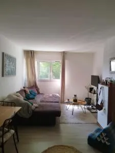 Chambre au Kremlin-Bicêtre - 莱克朗兰比塞特尔