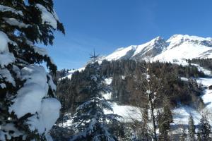 Appartements Chalet 