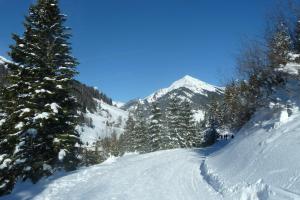 Appartements Chalet 