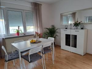 Charming Celje City Center Apartment