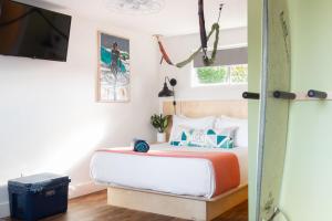 Queen Room with Futon room in LOGE Westport
