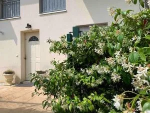 Villa 13 - 韦特拉蒙图