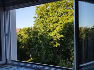 Painters apartment by ZOO and Wrocław Congress Center