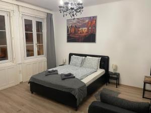 Cozy apartment on Raday Corso