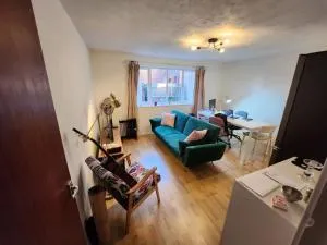 Amazing 1 Bed Flat, London SW19 - 米查姆