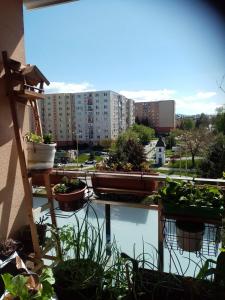 Pohodlná bytovka - Ubytování bez kategorie ve městě Prešov