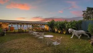 Summit Namnang Courtyard & Spa Near Mg Marg - Zuluk