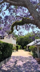 Bangalow Guesthouse