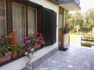 Villa Lalka