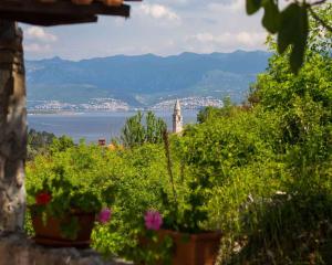 Apartment in Vrbnik - Island Krk 35842