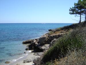 Appartements Trilocale in residence con piscina a 200 m dal mare : photos des chambres