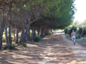 Appartements Trilocale in residence con piscina a 200 m dal mare : photos des chambres