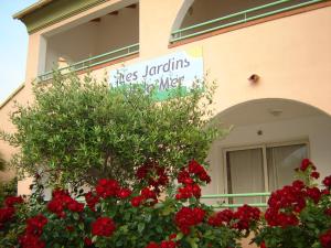 Appartements Grazioso bilocale a 200 m dal mare in residence con piscina e WI-FI : Appartement 1 Chambre