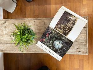 Bright Penthouse 2 M stops from Vatican Museums