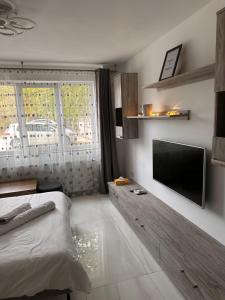 Cozy and quiet apartment