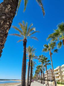 Beach Appartment