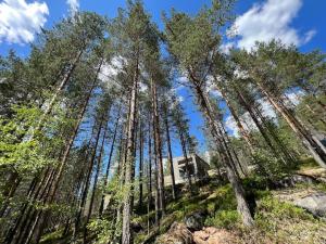 Tretoppen - Ny moderne hytte, Unike Finnskogen