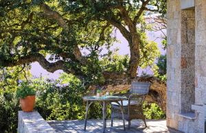 Villas A Liccia : photos des chambres