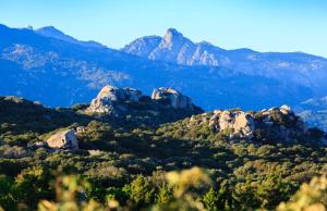 Villas A Liccia : photos des chambres