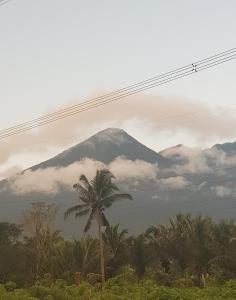 LK Farmcation Cabin Ligaya - Lucban, Quezon