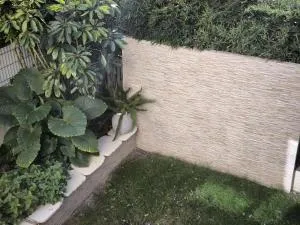 竹林书屋 - Polima