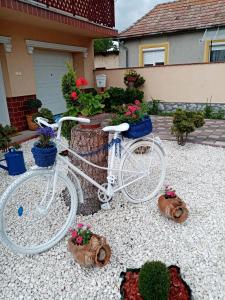 Margaret Apartman