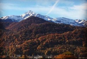 Maisons de vacances Villa sur la colline aux Pyrenees : photos des chambres
