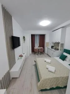 Anne Studio - 奥内什蒂