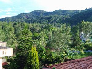 Green view