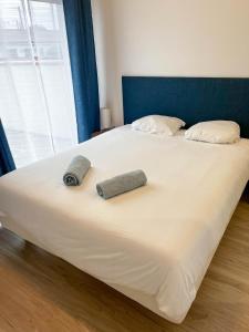 Sejours chez l'habitant Chambre d'hote independante - Calme - Parking - Climatisation - SDB privee : photos des chambres