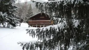 Grand Chalet au pays du Mont Blanc - 瓦洛西讷